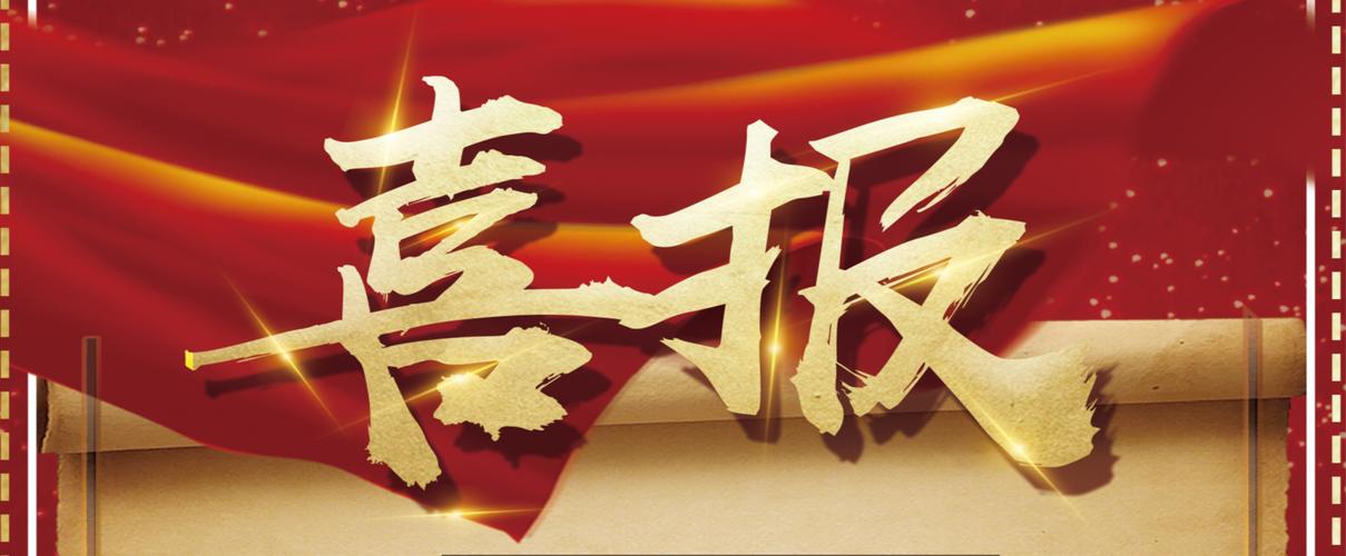 怎么查询蜘蛛池